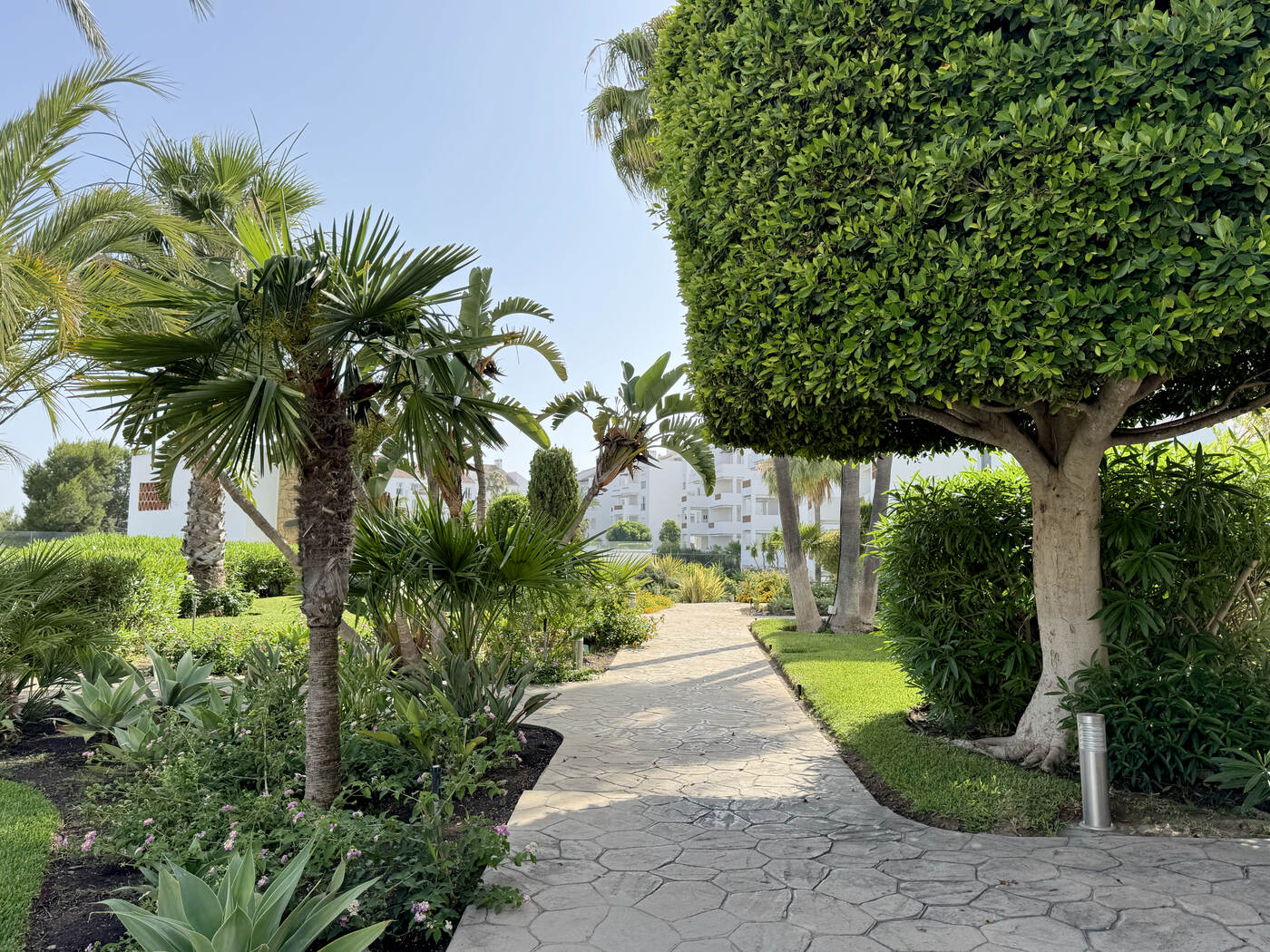 Stone pathway winding through the tropical gardens, palms and sculpted trees either side