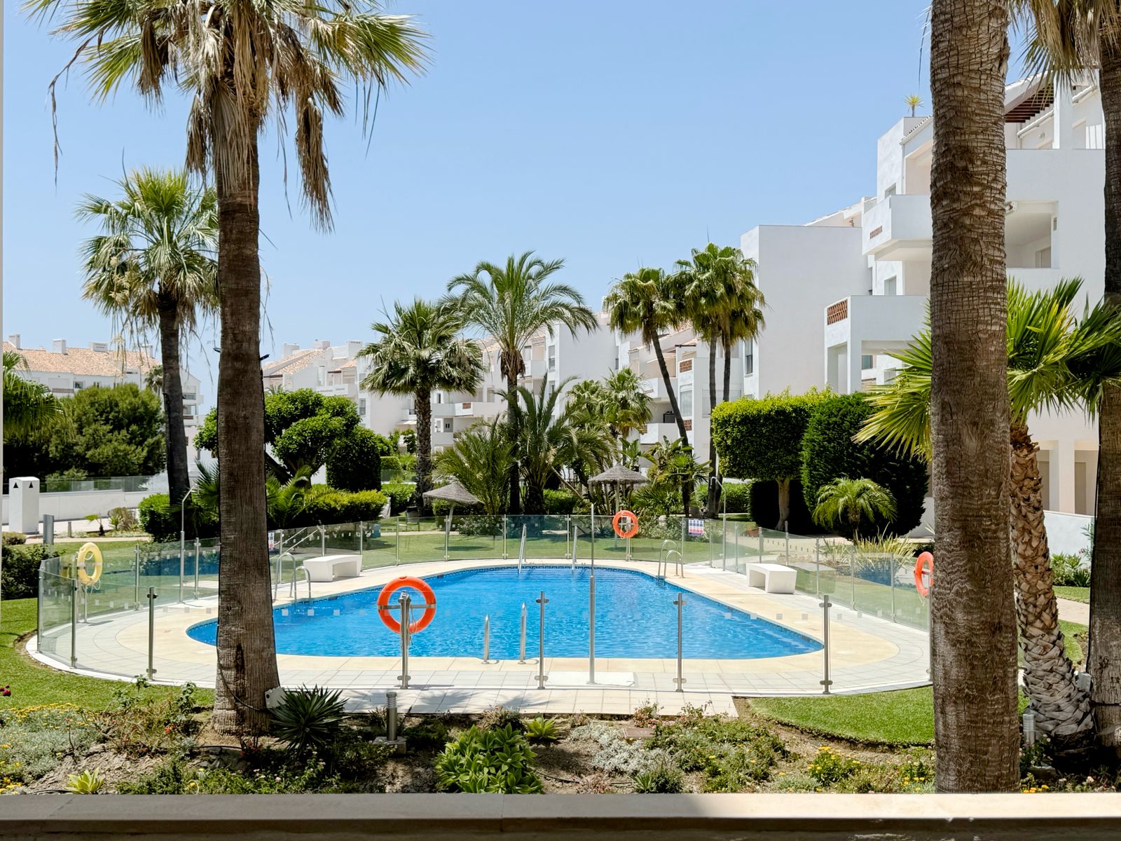 The community pool at Golf Gardens Miraflores, surrounded by palm trees and tropical gardens