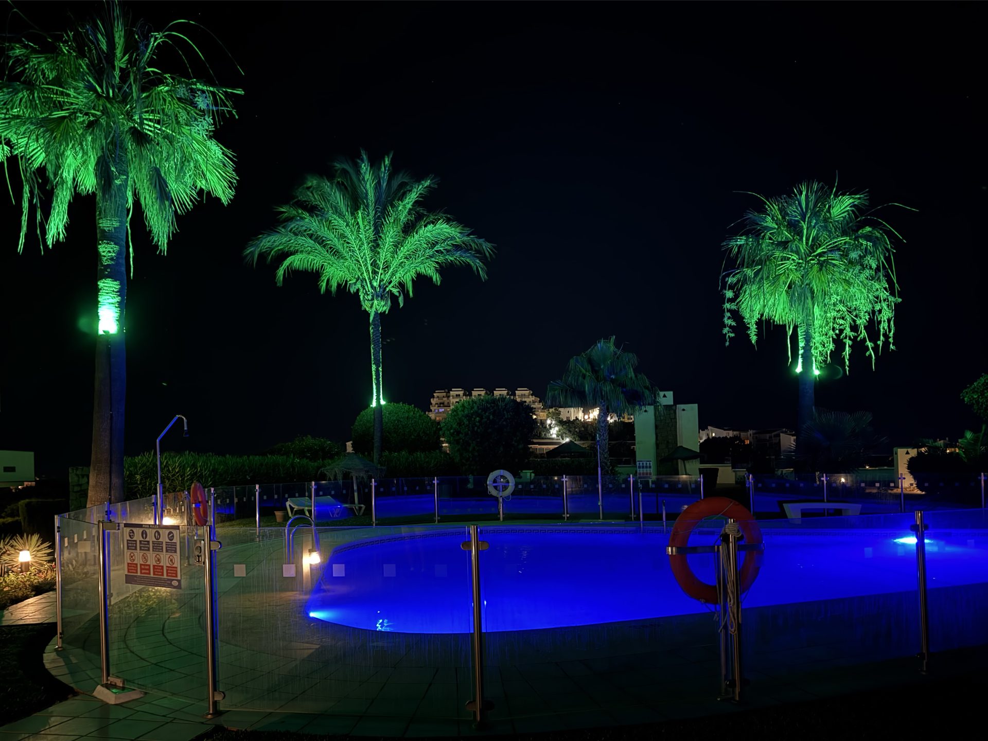 The pool lit up at night with illuminated palm trees
